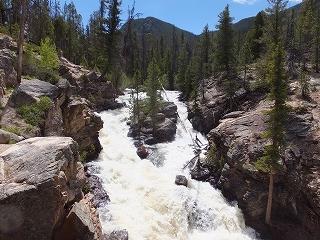 DSCF7481.jpg