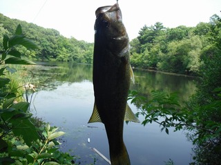 DSCF7028.jpg